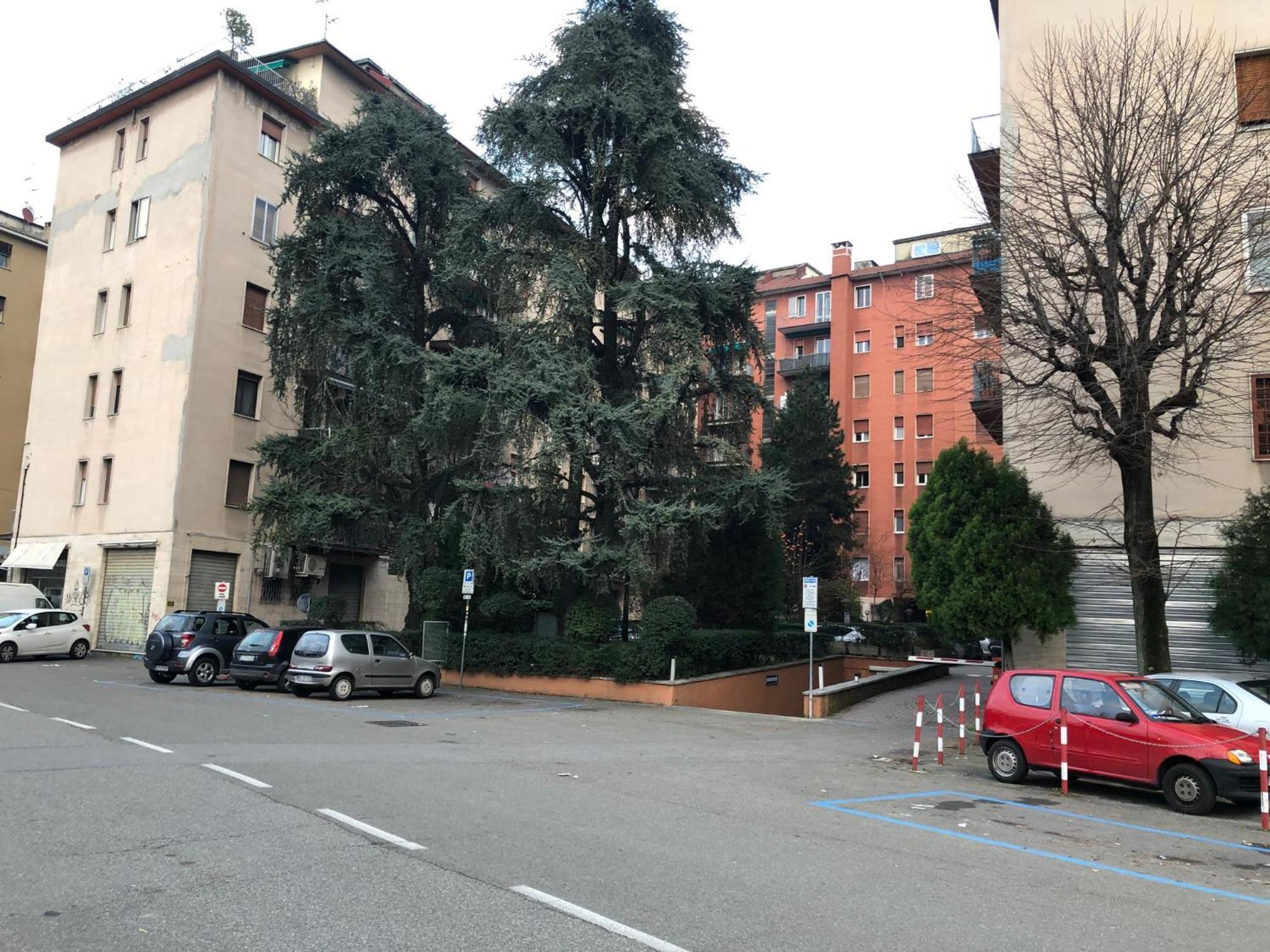 Tra Le Torri B&B - Ampia Stanza Privata In Appartamento Con Bagno Privato Accessibile Da Corridoio Болонья Экстерьер фото